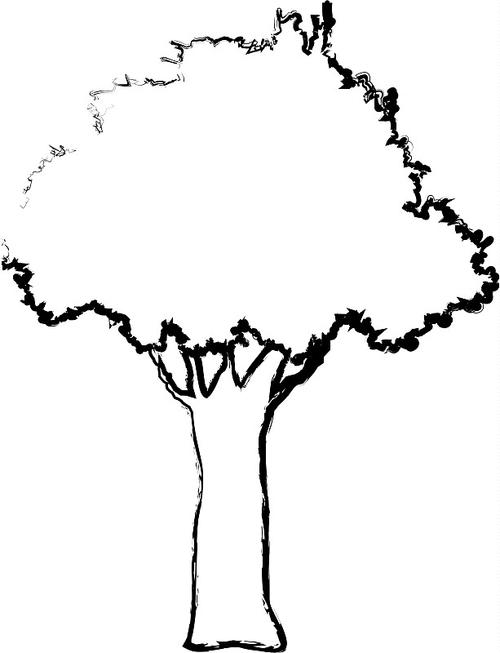 天然树木枝干素描图片